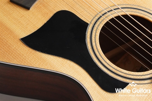 312ce 12Fret V-Class